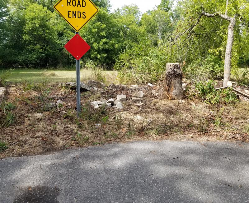 Holmes Rd, Lansing Ingham County Land Bank