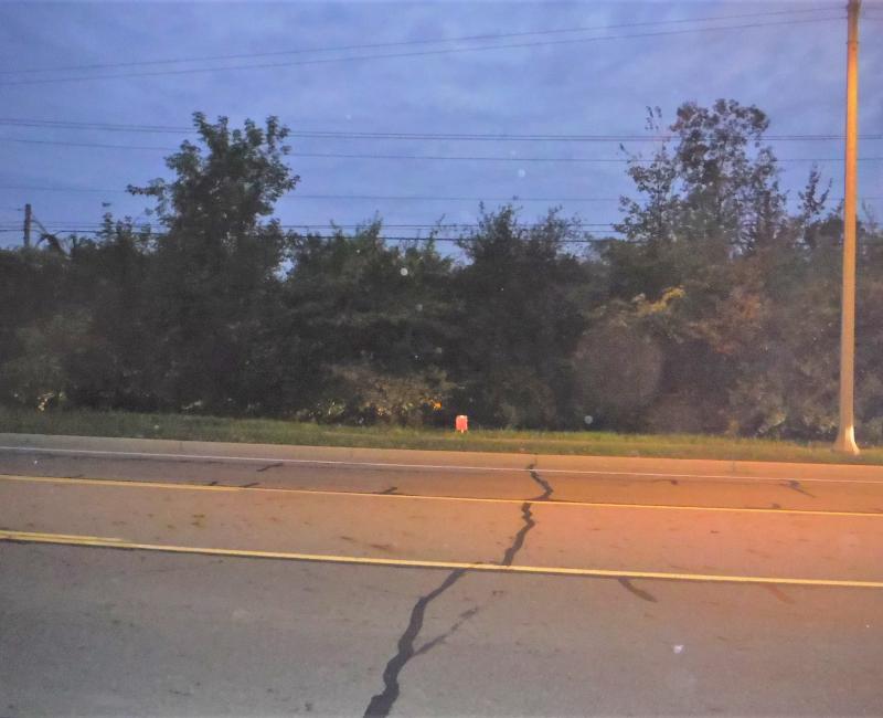 Holmes Rd, Lansing Ingham County Land Bank